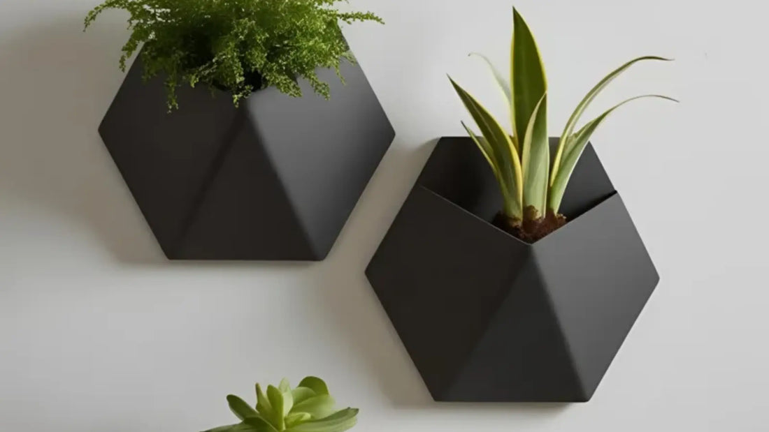 Giardino verticale: Come realizzare un angolo verde sorprendente - DEKO