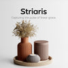Striaris: Vaso Rigato Home Decor in PLA: Hero Principale su legno naturale