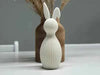Lumo: Home Decor Coniglietto Pasquale in PLA