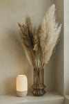 RIB: Home Decor Lampada da Tavolo con Linee Radiali Janberry