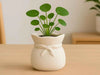 CHIC KNOT: Vaso-Planter con Tocco Scandinavo Home Decor