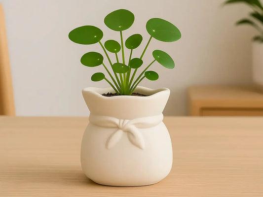 CHIC KNOT: Vaso-Planter con Tocco Scandinavo BotanyChic