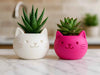 MIAO: Vaso Gatto Cute per Succulente e Piante Home Decor