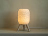 ORBIT: Home Decor Lampada da Tavolo con Paralume Geometrico Janberry