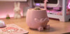 Pouty Fioriera Brontolona Home Decor Vaso per Piante Grasse dal Design Espressivo