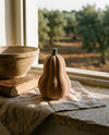 Butternut, zucca decorativa fuzzy in PLA alta 14 cm, su un davanzale di pietra con uliveto sullo sfondo